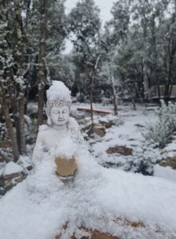 chasseautresor_reconnectland