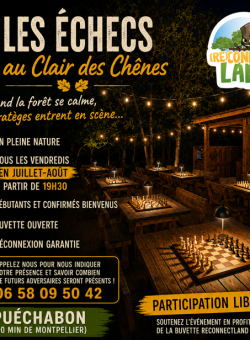 Echecs reconnectland