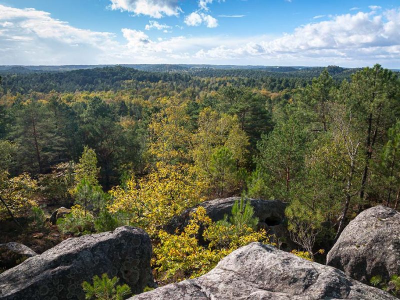 Créer de nouveaux liens dans le Parc de loisirs