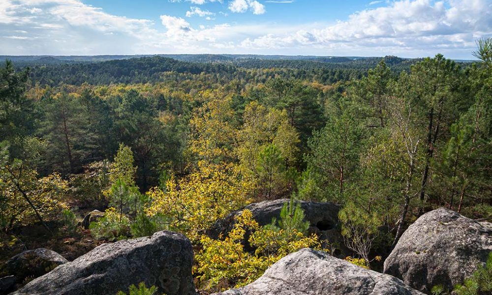 Créer de nouveaux liens dans le Parc de loisirs